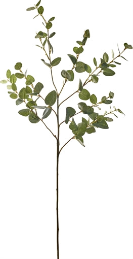 Greenspray Eucalyptus Green