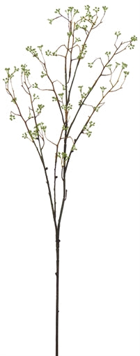 Corn Parsley twig - Green