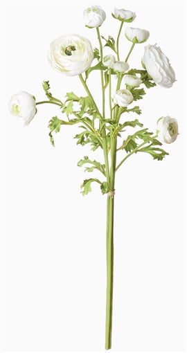 Ranuncula Bundle - Petal Feel - White