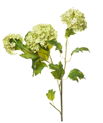 Snowball Stem Green