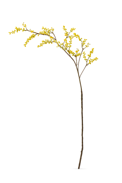 Mimosa Spray- Yellow