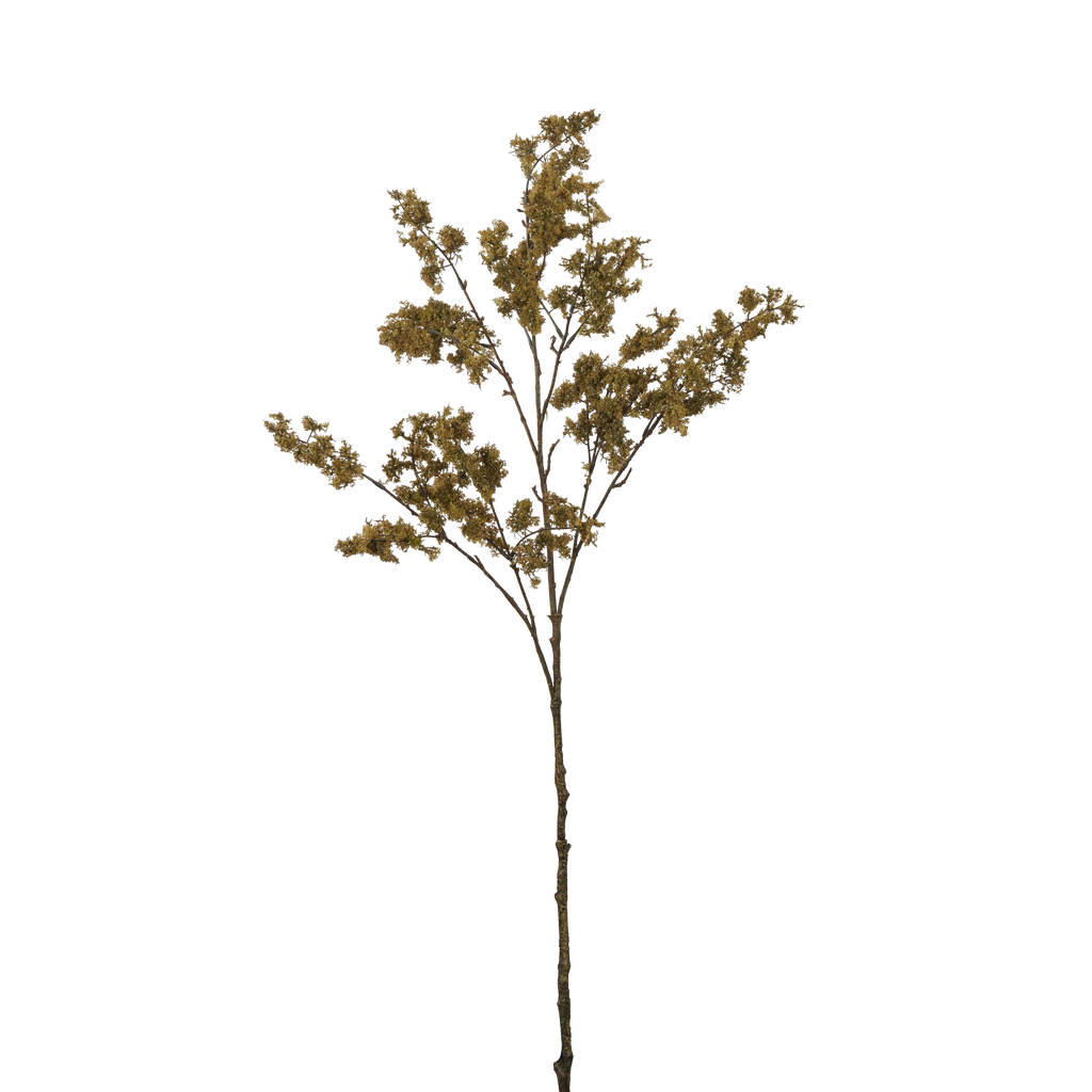 Moss Spray - Dark Green