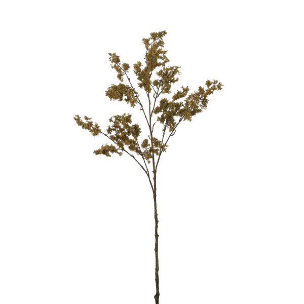 Moss Spray - Dark Green