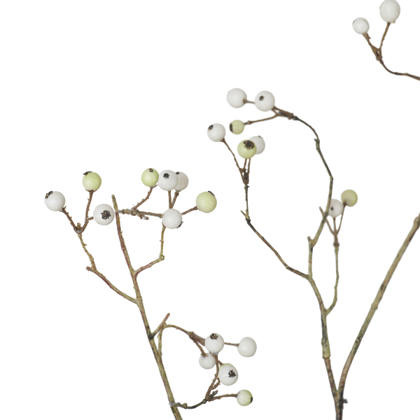Berry Spray White