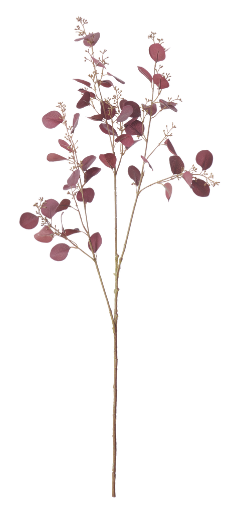 Eucalyptus Stem - Burgundy