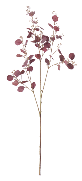 Eucalyptus Stem - Burgundy