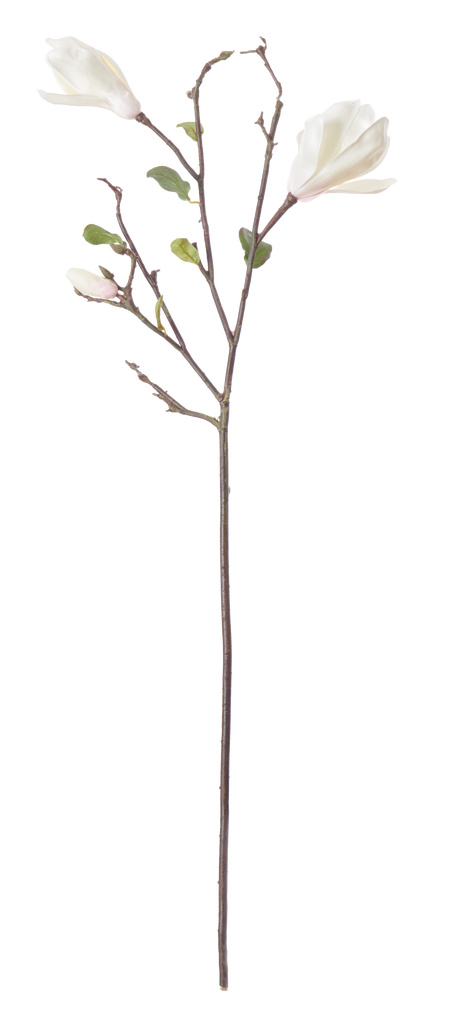 Magnolia Branch White
