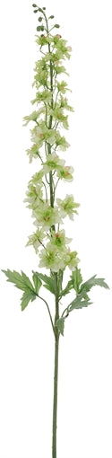 Delphinium Stem - Green