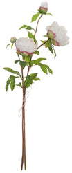 Peony Bundle - Petal Feel - White