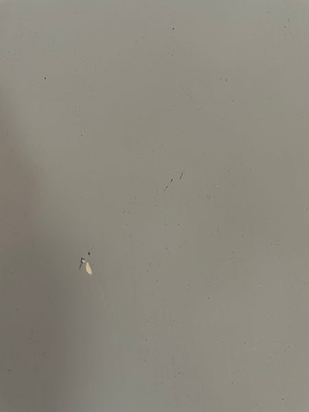 Wardley Chair - Flax Blue