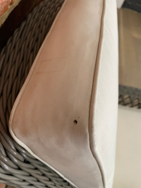 Harrington Relaxed Armchair with Natural Cushions - Reed