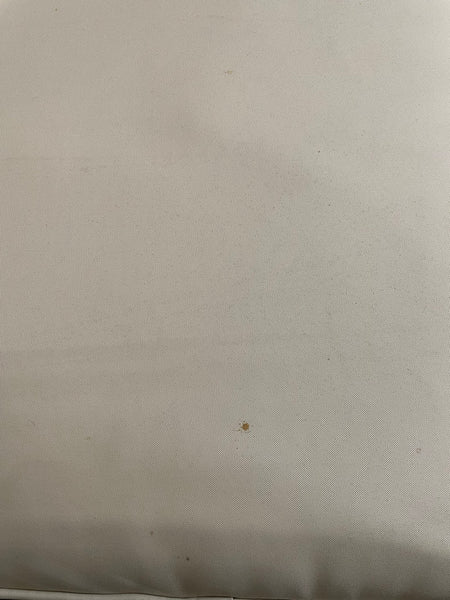 Harrington Relaxed Armchair with Natural Cushions - Reed