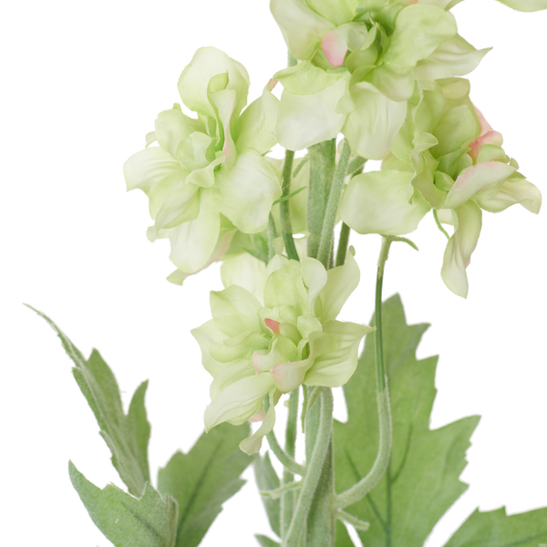 Delphinium Stem - Green