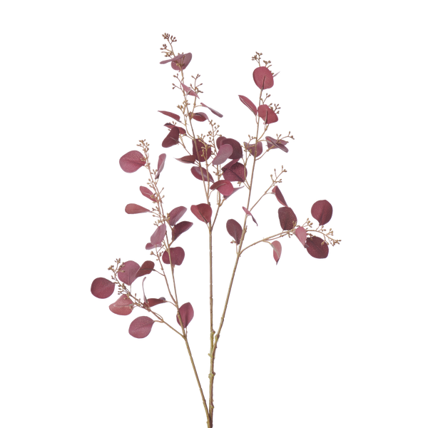 Eucalyptus Stem - Burgundy