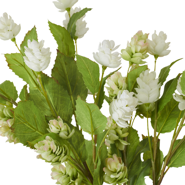 Hops Bunch - Green White