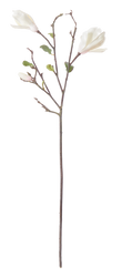 Magnolia Branch White