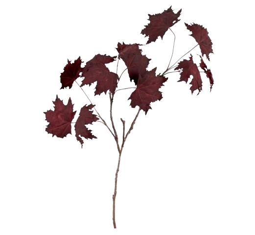 Maple Leaf Twig - Burgundy