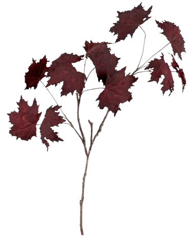 Maple Leaf Twig - Burgundy