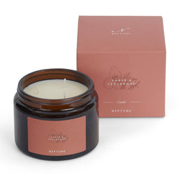 Amber & Cedarwood 3 Wick Candle