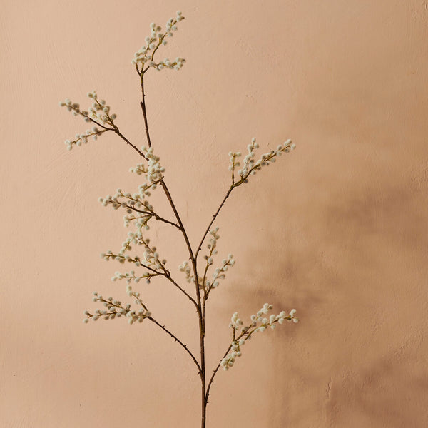 Mimosa Spray  - White