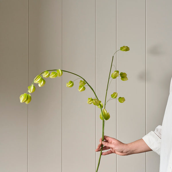 Physalis Spray - Green
